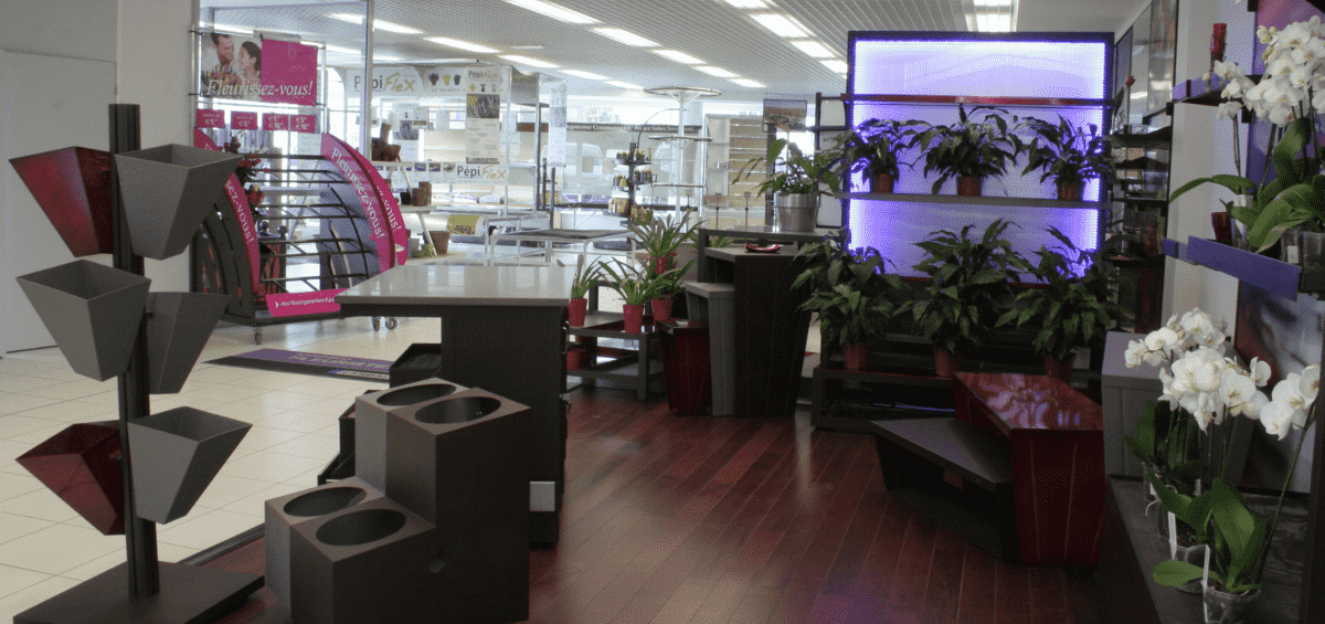 showroomR.png